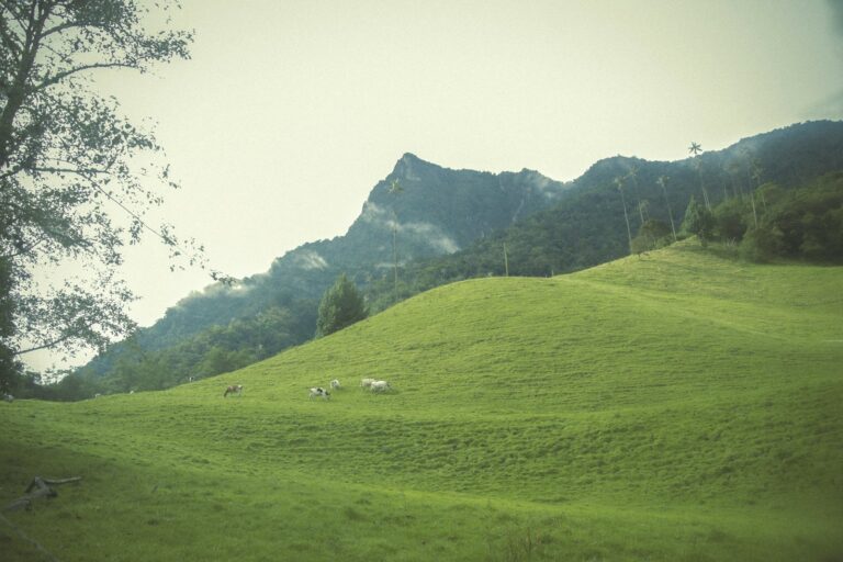 Paisaje rural agrícola en Colombia con colinas verdes y montañas
