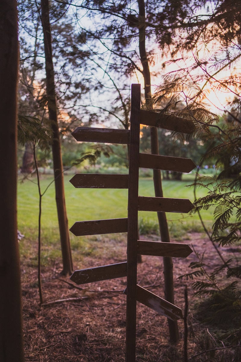 Wooden signpost with multiple arrows in forest
